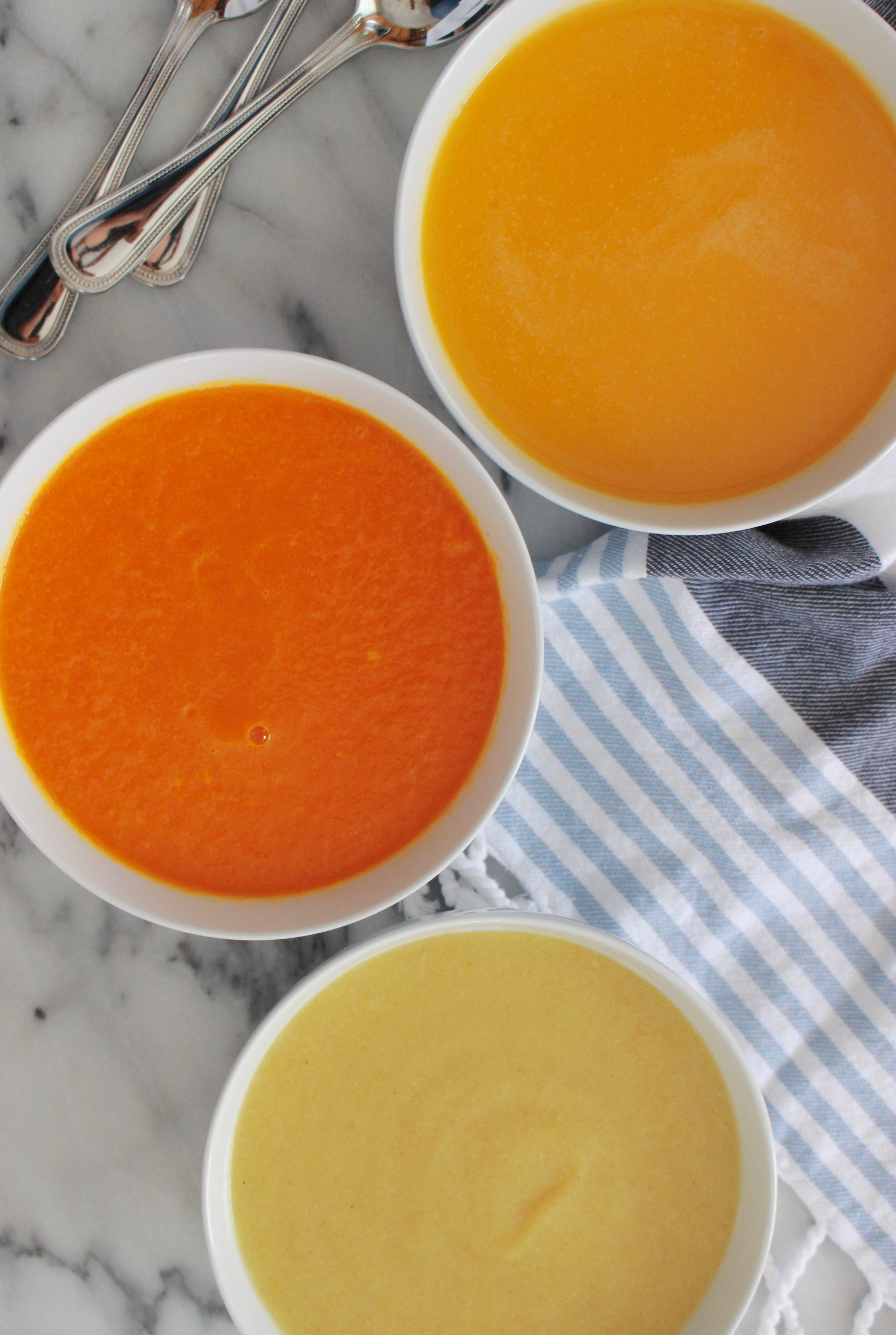 Creamy Pureed Vegetable Soup