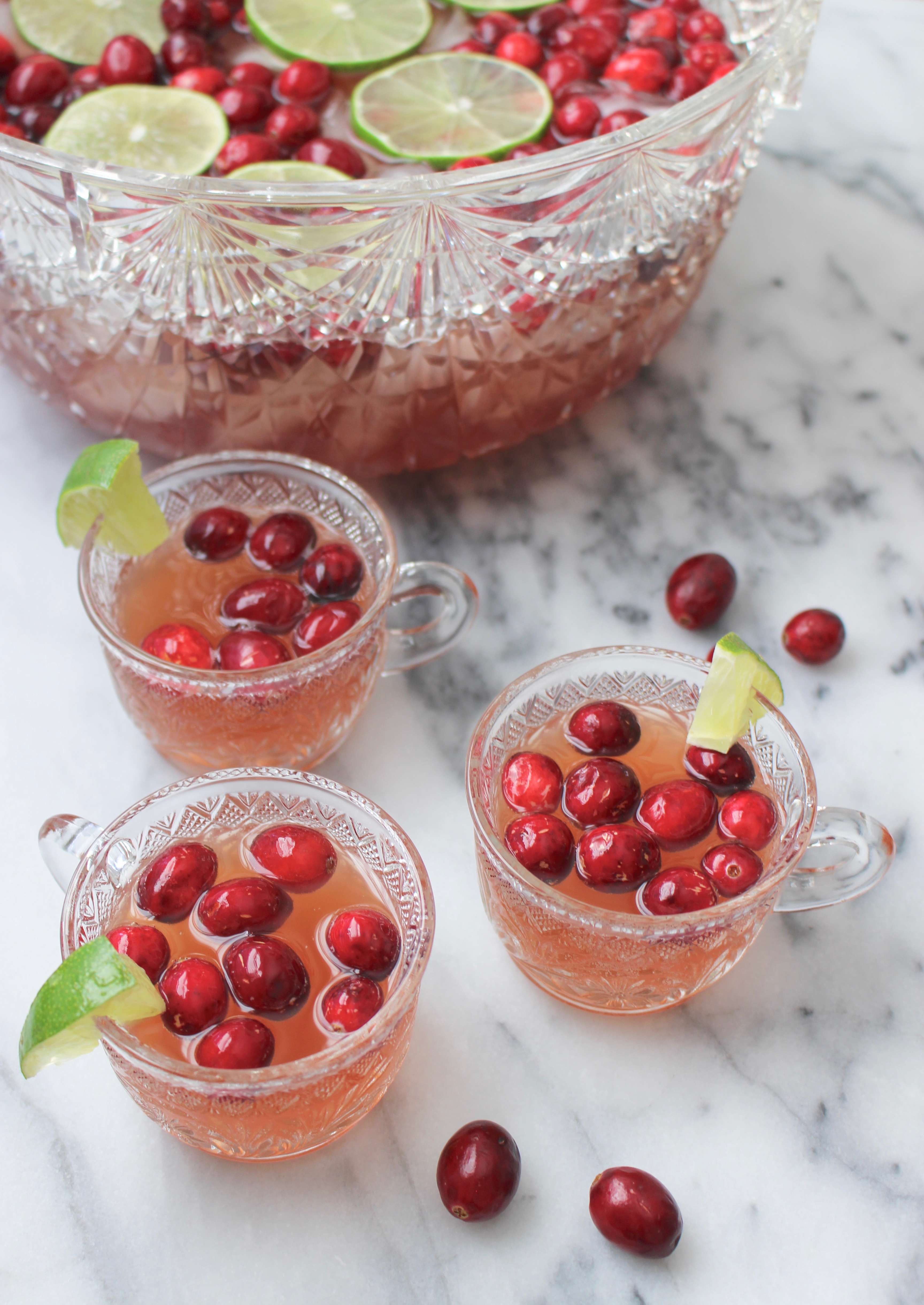 Easy Holiday Party Punch