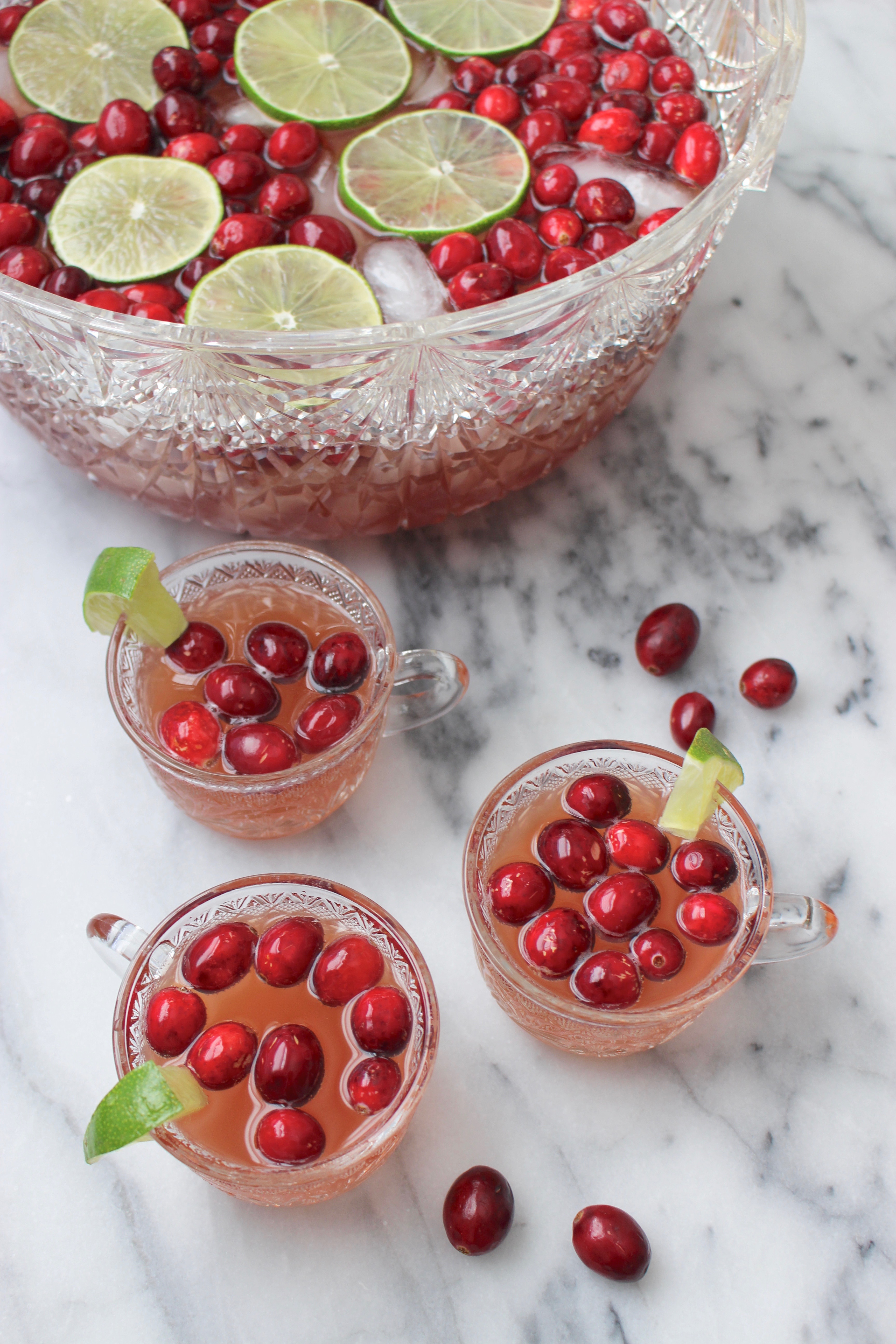 Holiday Party Punch